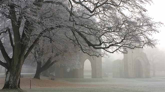 Glastonbury Abbey