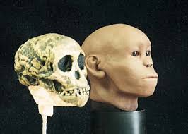 The Taung Child