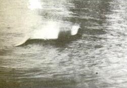 Hugh Gray Photograph Loch Ness
