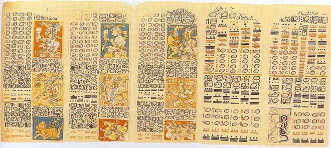 Mayan Codex