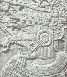 Mayan archeology