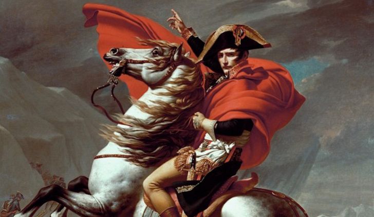 Napoleon horse