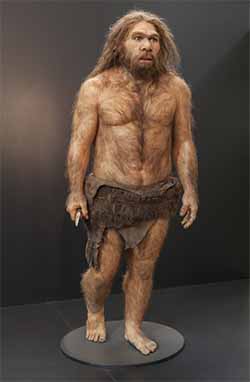 Neanderthal