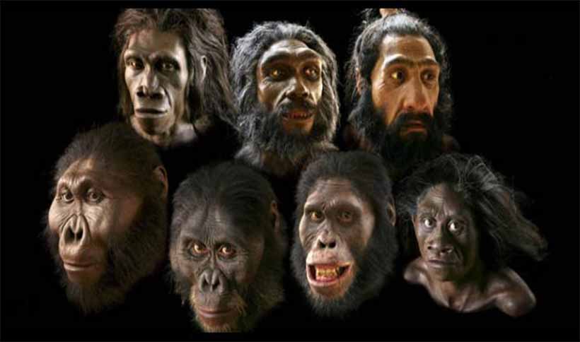 Origin of Man
