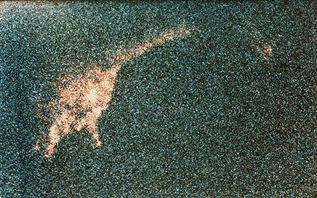 Robert Rines Photograph Loch Ness Monster