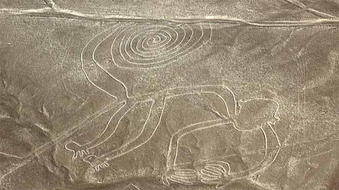 The Monkey - Nazca Lines