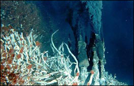 Hydrothermal vents