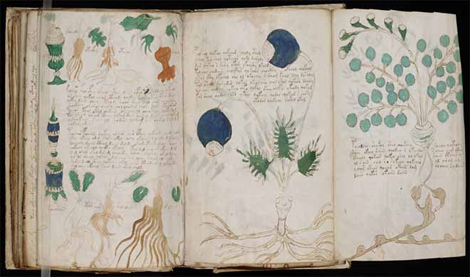 The Voynich Manuscript